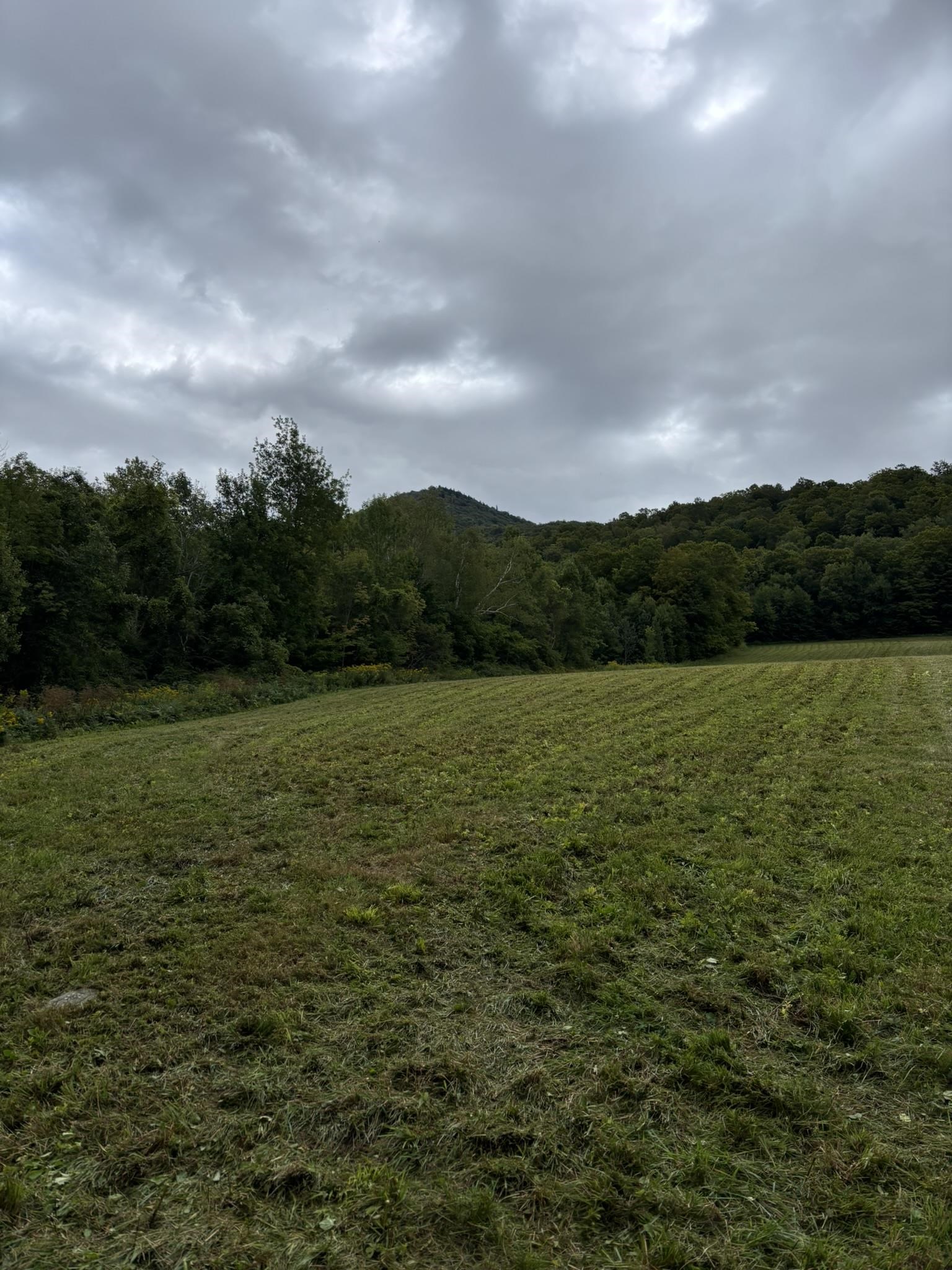 942 Rt 315 West Rupert, VT 05776 - Photo 9 of 17