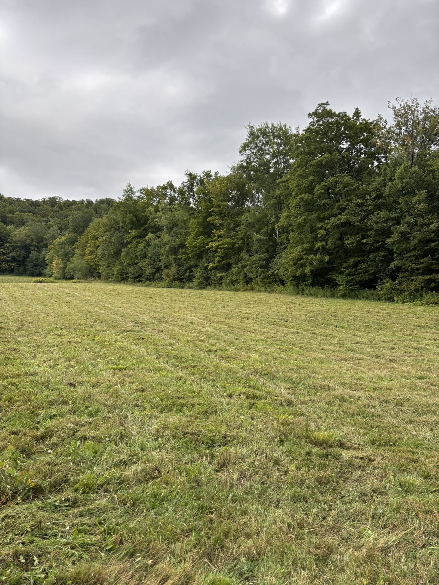 942 Rt 315 West Rupert, VT 05776 - Photo 10 of 17