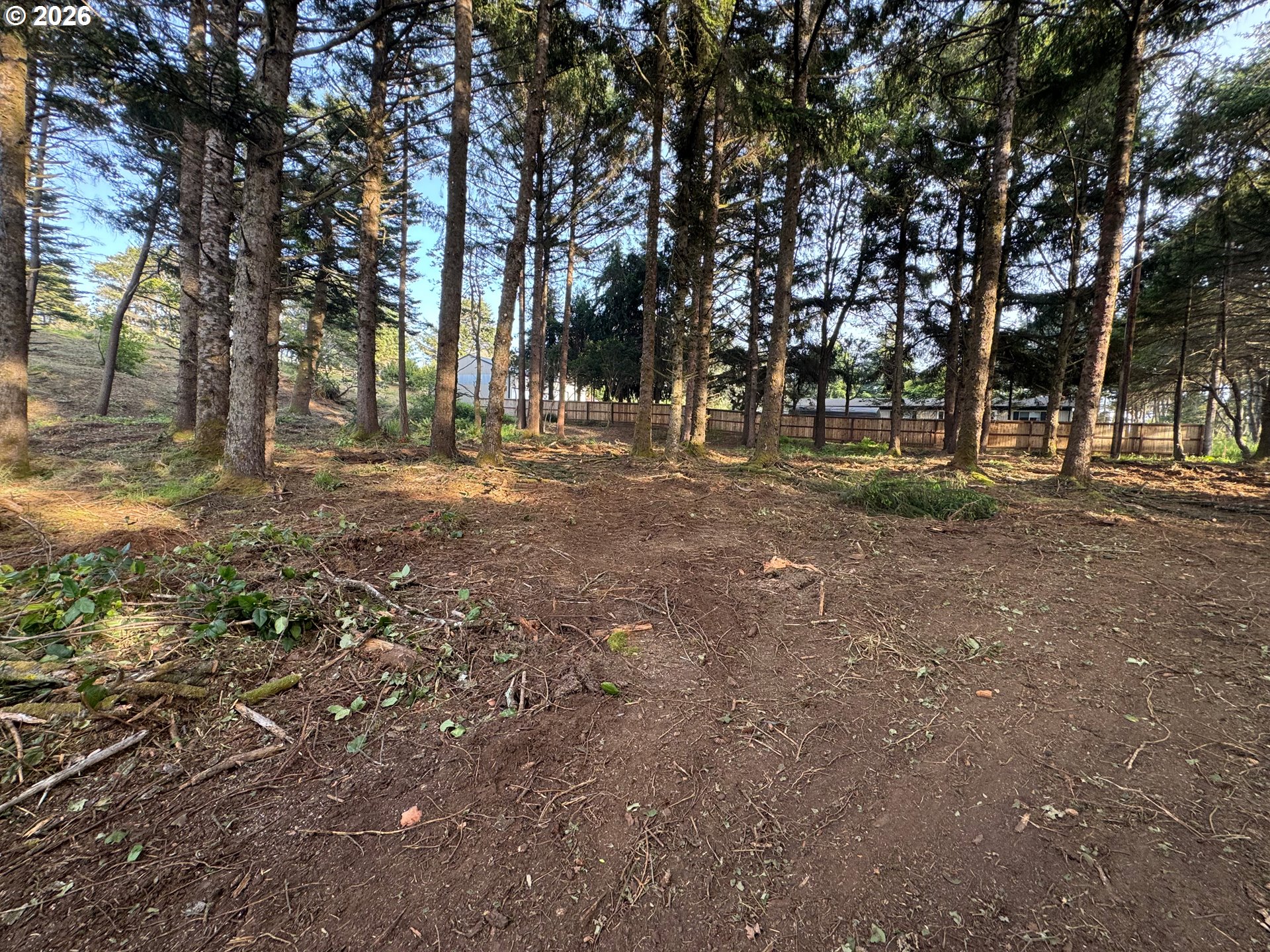 Ophir Road Gold Beach, OR 97444 - Photo 11 of 14 a view of a tree in the middle of a yard