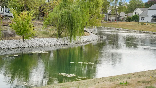 a view of a house with a yard and plants