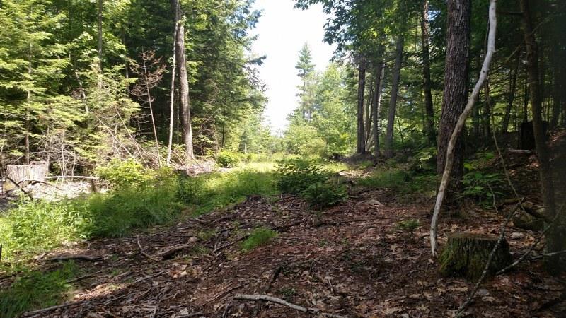 0 Grist Mill Road Bridgton, ME 04009 - Photo 26 of 48 8 other 1_800x450