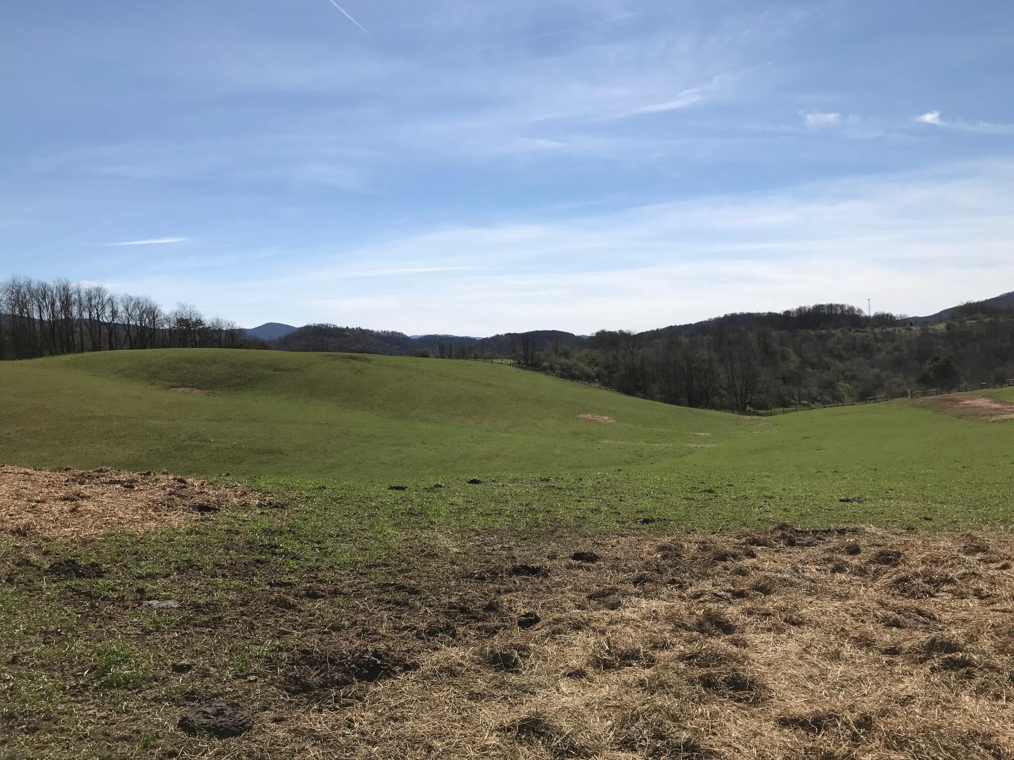 Tbd Windsor Road, Unit 3 PARCELS Rural Retreat, VA 24368 - Photo 2 of 9 IMG_0217
