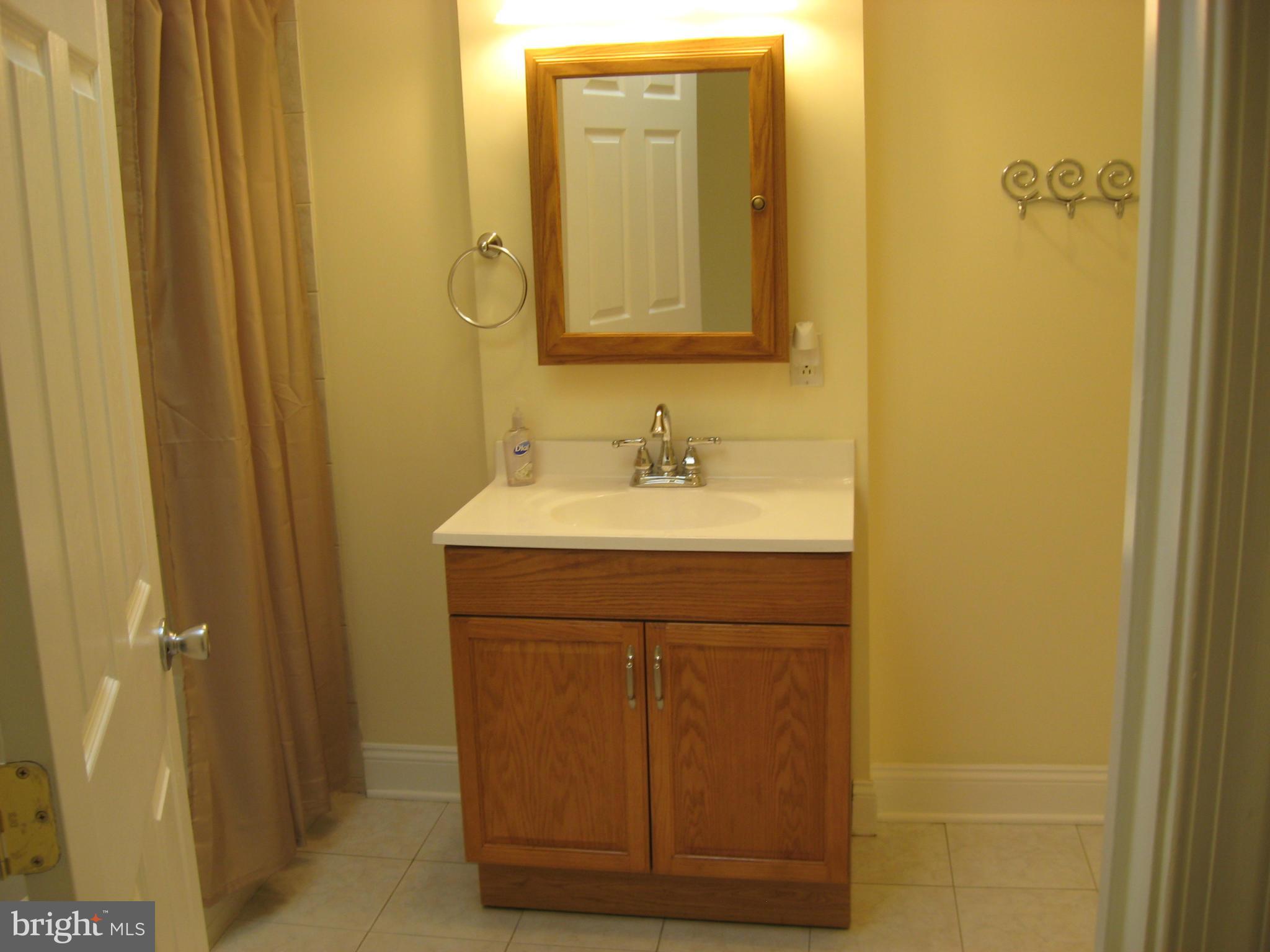 330 South Poppleton Street Baltimore, MD 21230 - Photo 7 of 9 Bath