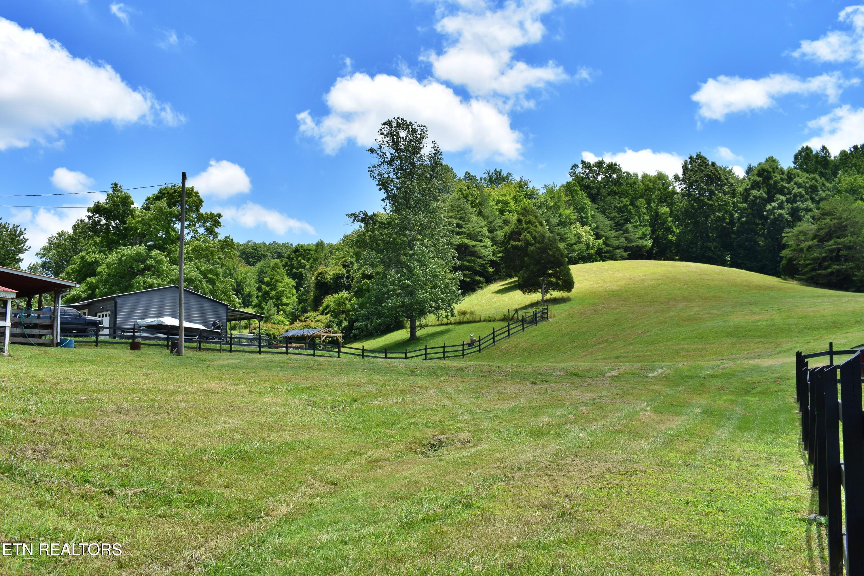 1319 Ideal Valley Road Spring City, TN 37381 - Photo 27 of 49 DSC_0762
