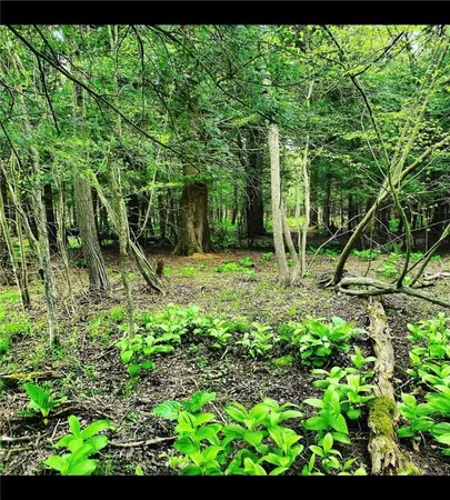 $150,000 | 3239 Highway 39, Eagle, NY 14024