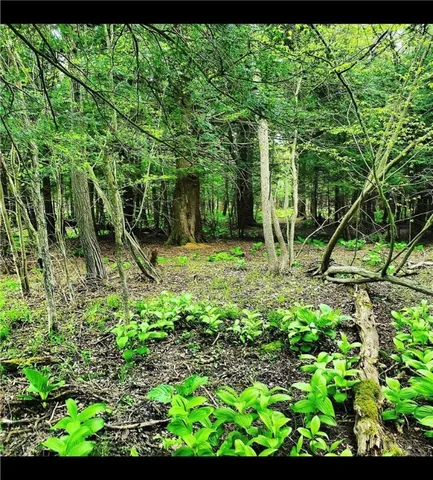 $150,000 | 3239 Highway 39, Eagle, NY 14024