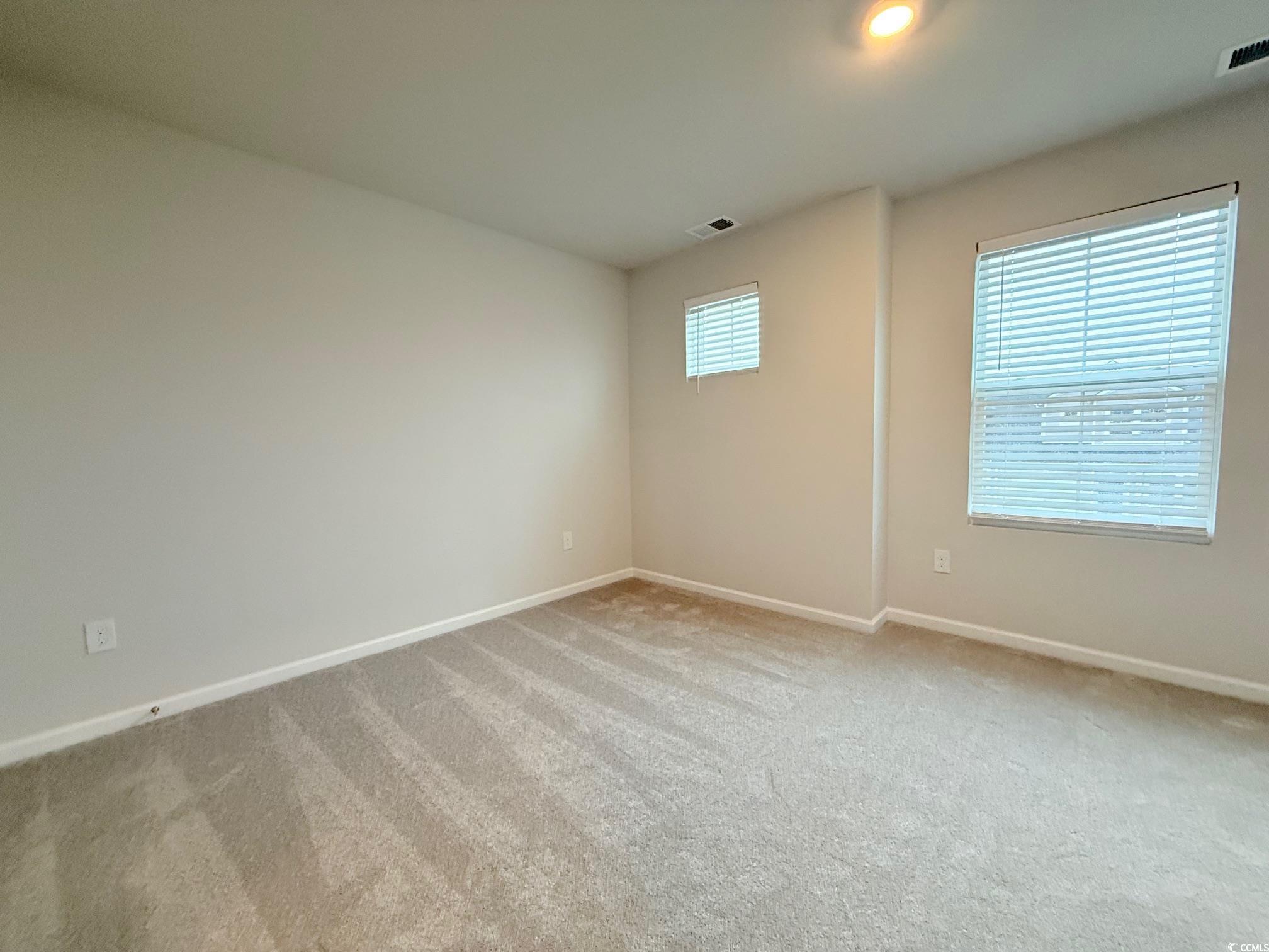 1133 Blueback Herring Way Conway, SC 29526 - Photo 23 of 30