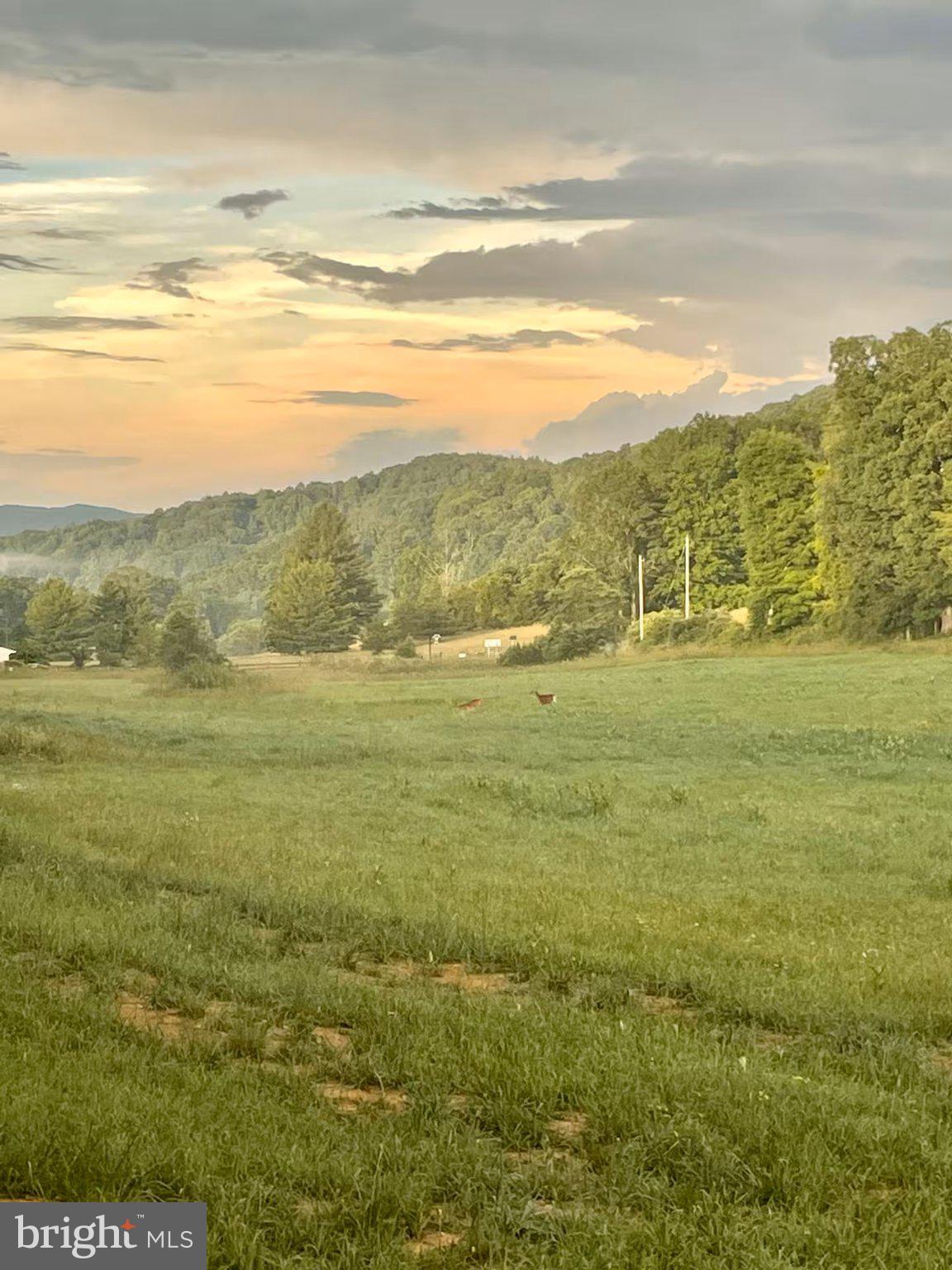 184 Skiles- Pitsenbarger Road Franklin, WV 26807 - Photo 35 of 39 Serene sunset over lush green fields.