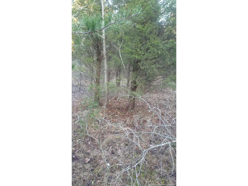 0 Kepley Road Georgetown, IN 47122 - Photo 1 of 1