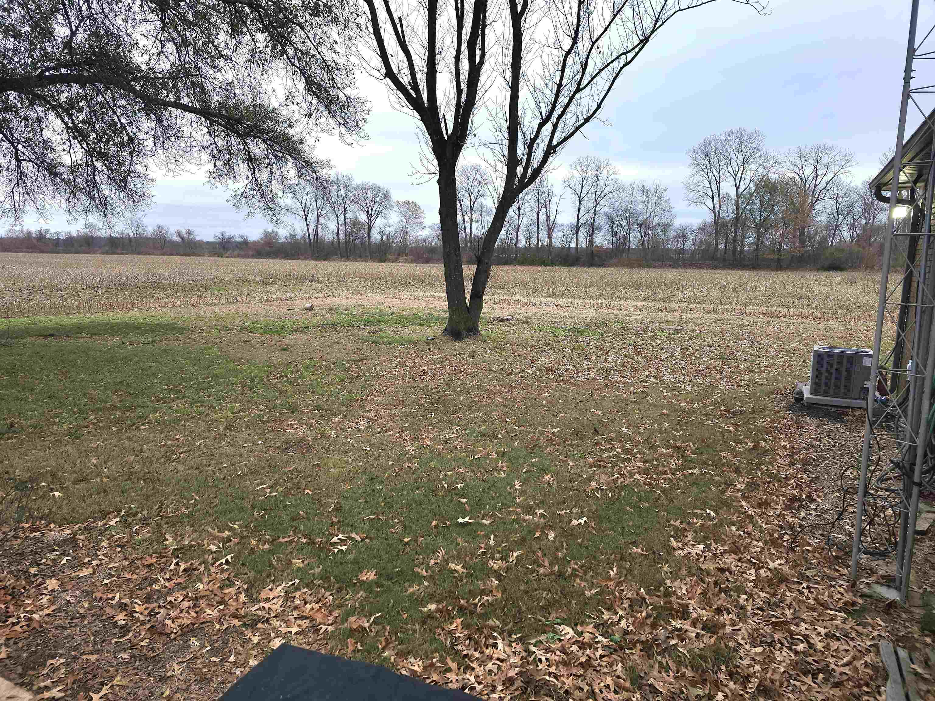 3920 Antioch Highway 51 Road Covington, TN 38019 - Photo 23 of 25 a view of outdoor space and yard