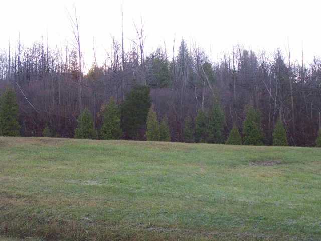 0 Martz Road Farmington, NY 14425 - Photo 1 of 1 Exterior Front. Build your dream home on this beau