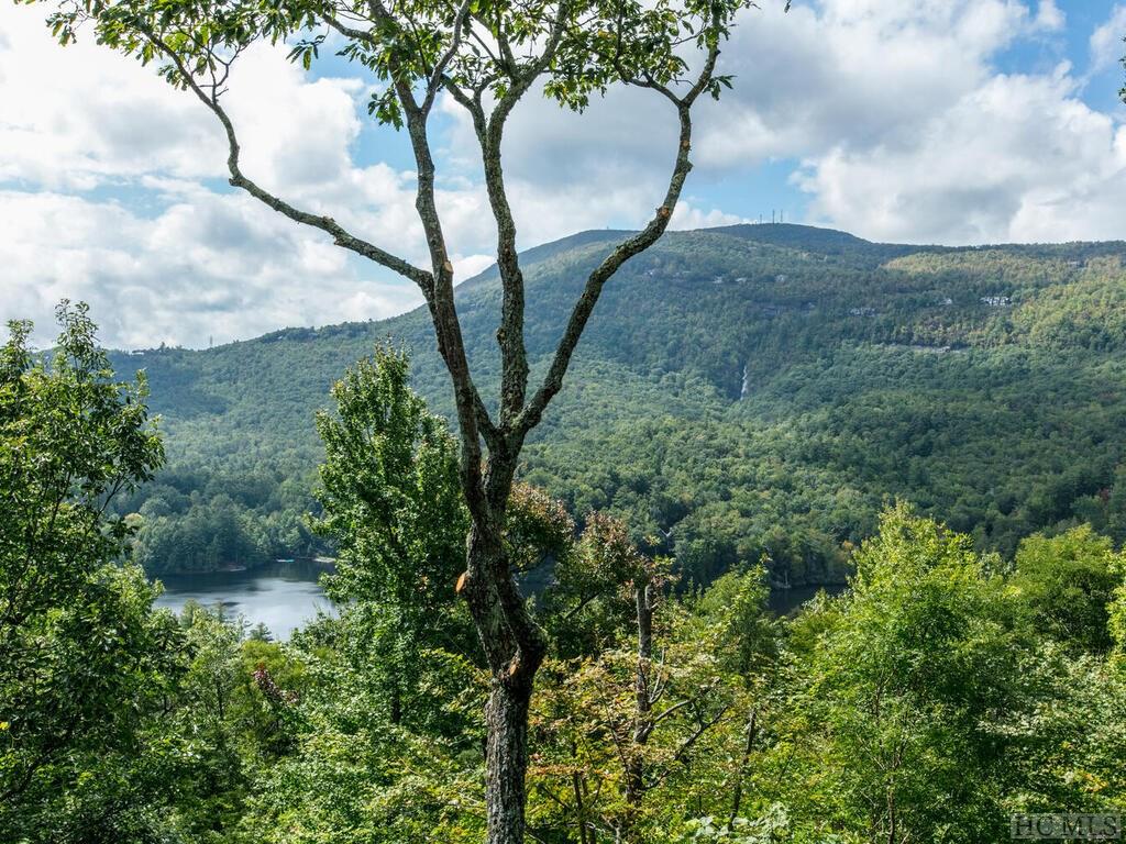 478 Panther Ridge Road Lake Toxaway, NC 28747 - Photo 33 of 57 Gallery Image 33