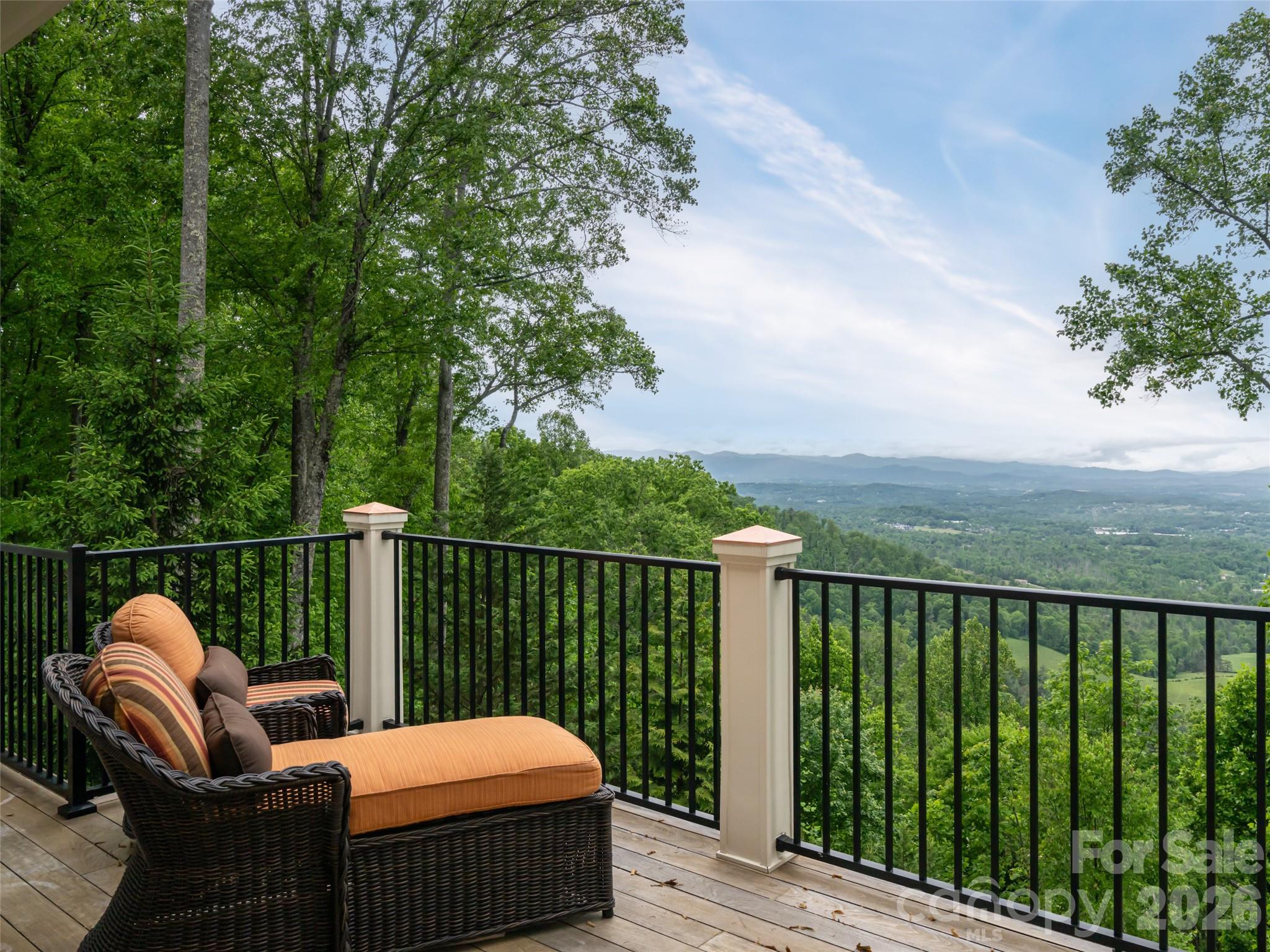 29 Elk Ridge Drive Weaverville, NC 28787 - Photo 2 of 48