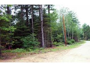 Lot 13 Willow Brook Road Thornton, NH 03285 - Photo 2 of 4 Gallery Image 2