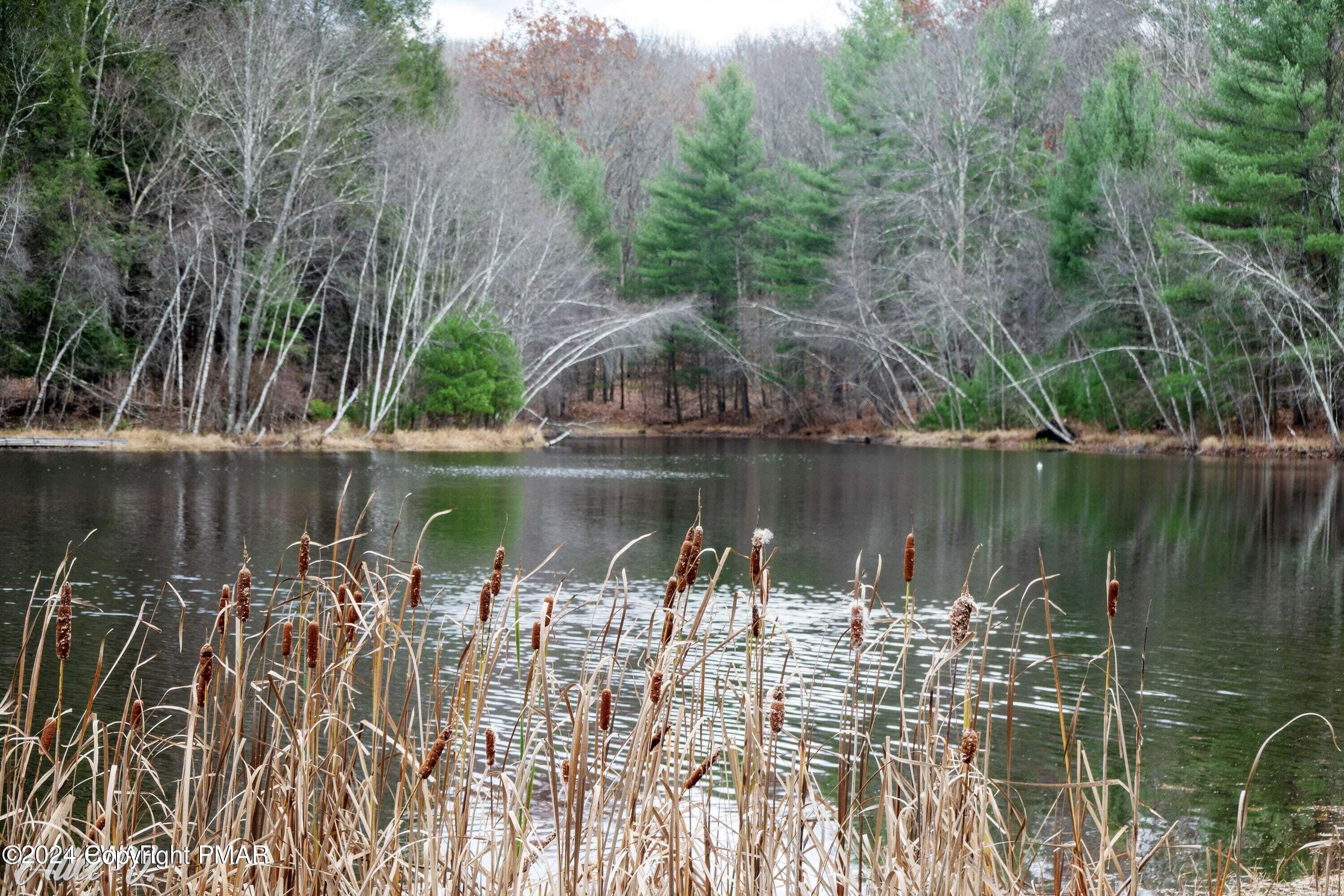 Hidden Hollow Hawley, PA 18428 - Photo 11 of 29 Hug 8