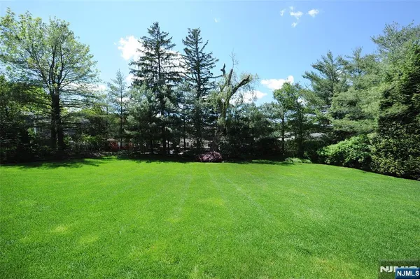 a view of yard with green space