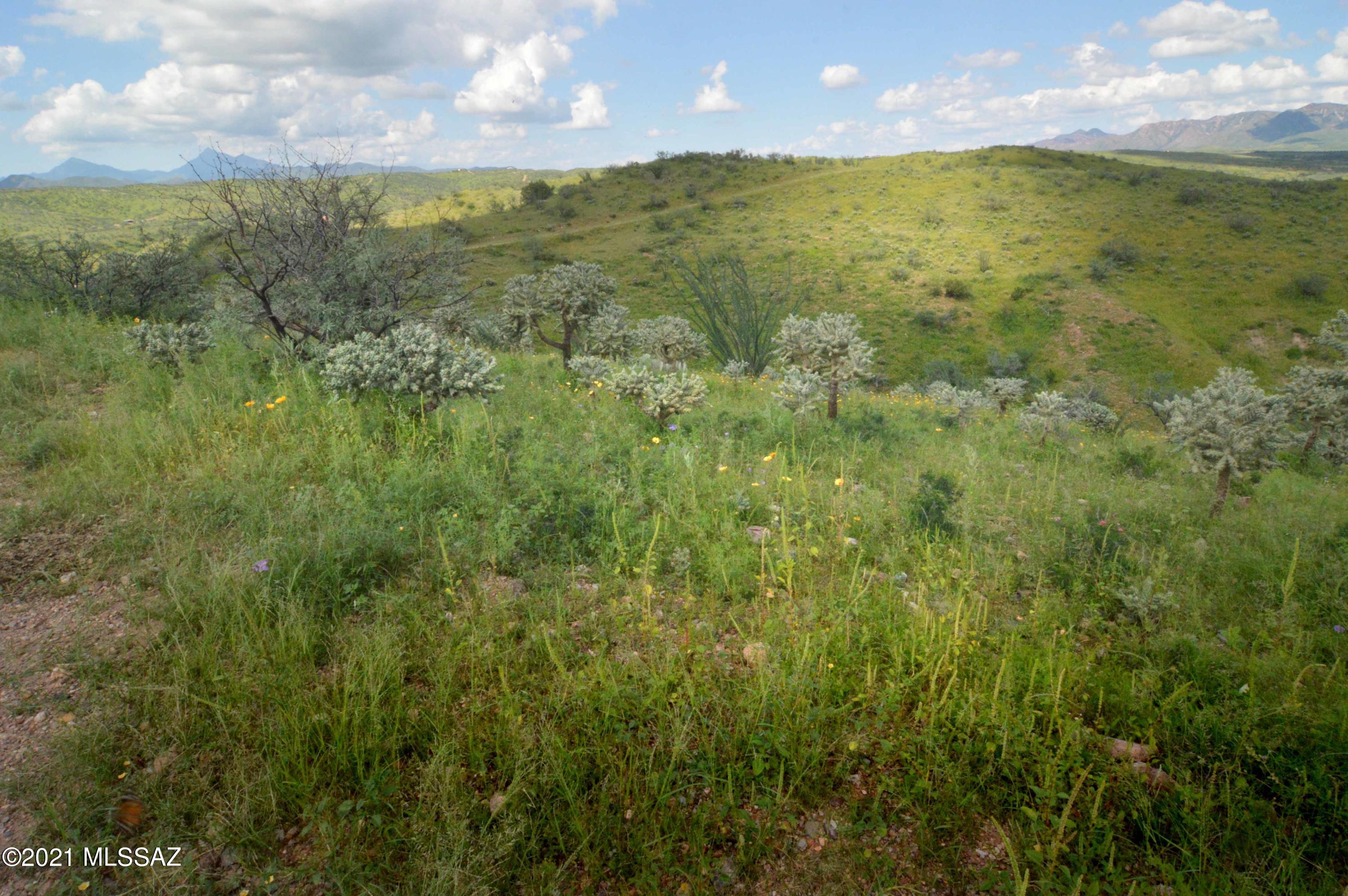 Tbd Sonoita Creek Ranch Road, Unit 86 Nogales, AZ 85621 - Photo 8 of 32