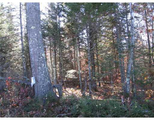Lot#2 Main Street Mercer, ME 04957 - Photo 2 of 3 Land/Lot.