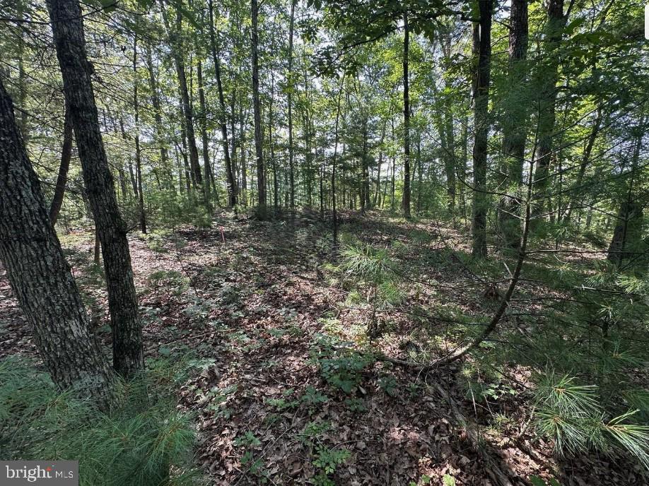 Stokes Airport Road, Unit 1881F Front Royal, VA 22630 - Photo 1 of 5 Beautiful spot for your custom home!