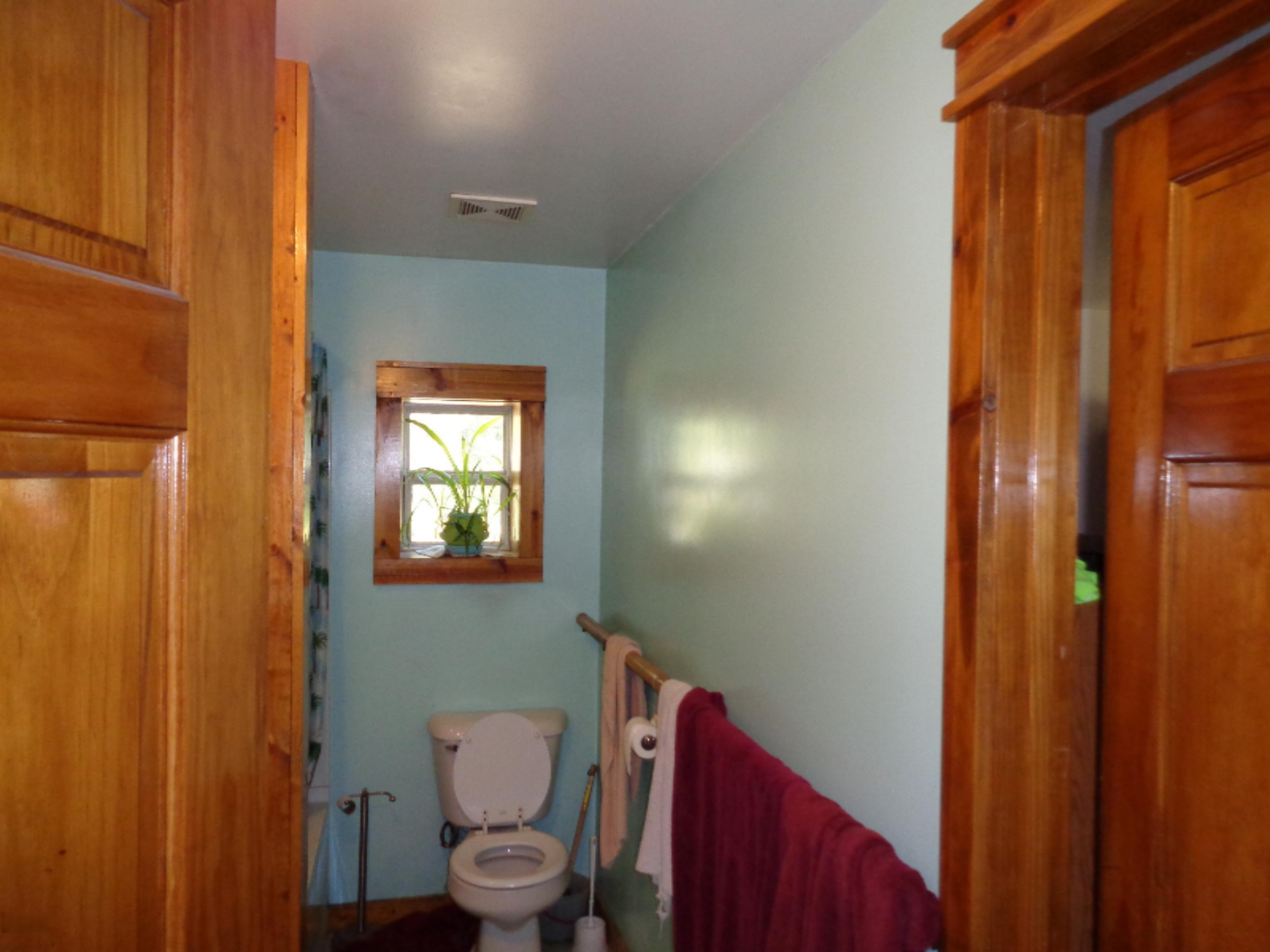 21567 West North County Line Road Morley, MI 49336 - Photo 3 of 4 Bath