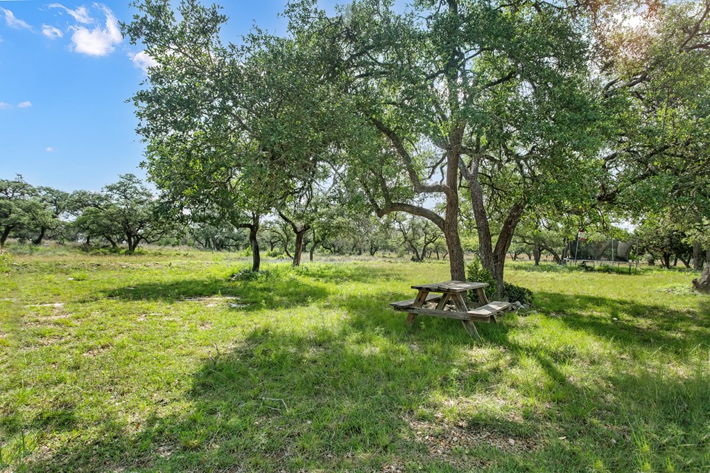 181 Real Lake House Road South Kerrville, TX 78028 - Photo 8 of 18 a backyard of a house with lots of green space