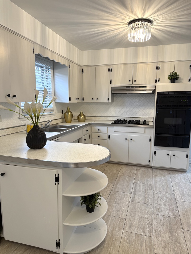 2308 Oakton Street, Unit 1 Park Ridge, IL 60068 - Photo 5 of 15 Gallery Image 5