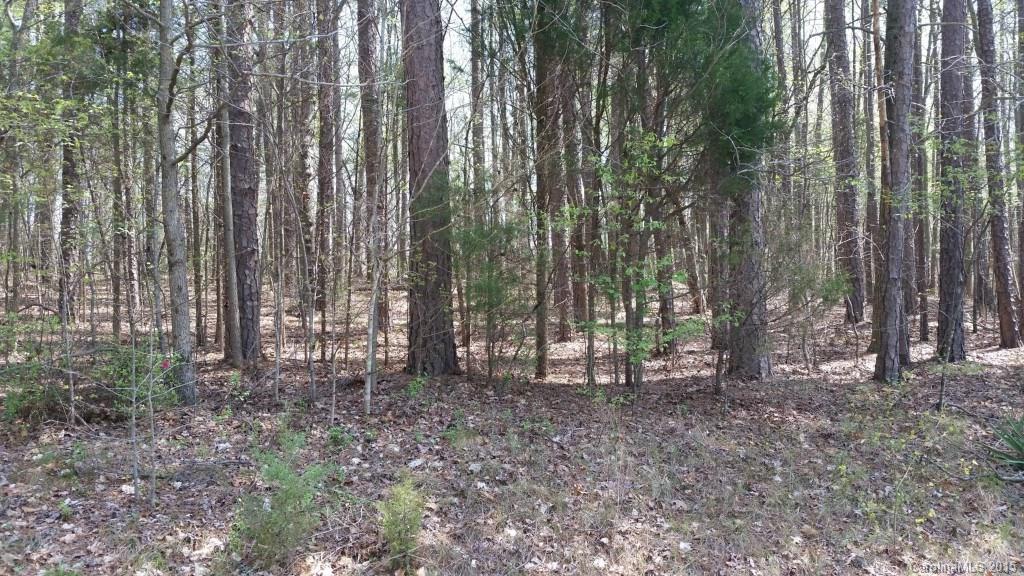 0 Beaver Road China Grove, NC 28023 - Photo 1 of 6 Gallery Image 1