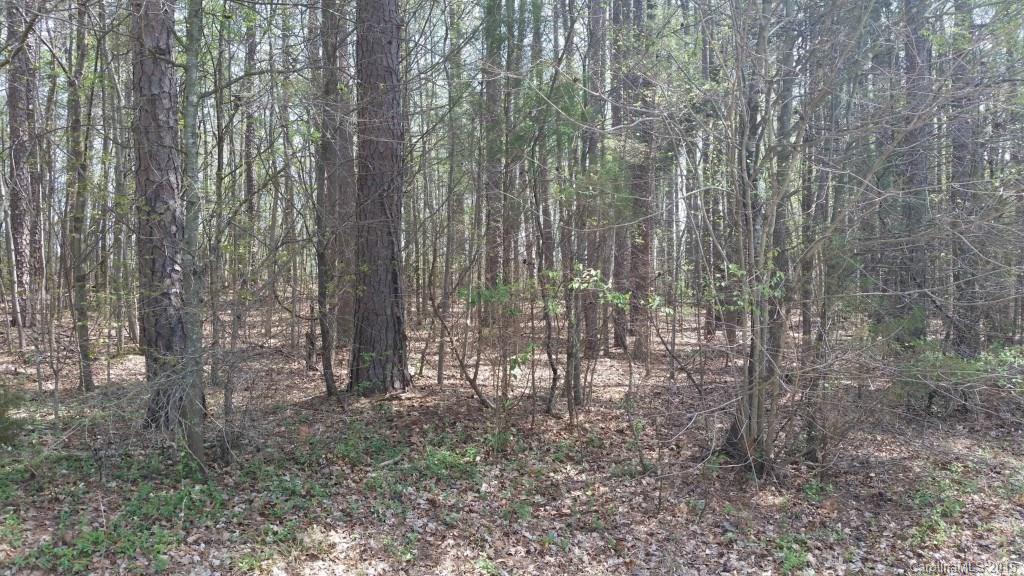 0 Beaver Road China Grove, NC 28023 - Photo 2 of 6 Gallery Image 2