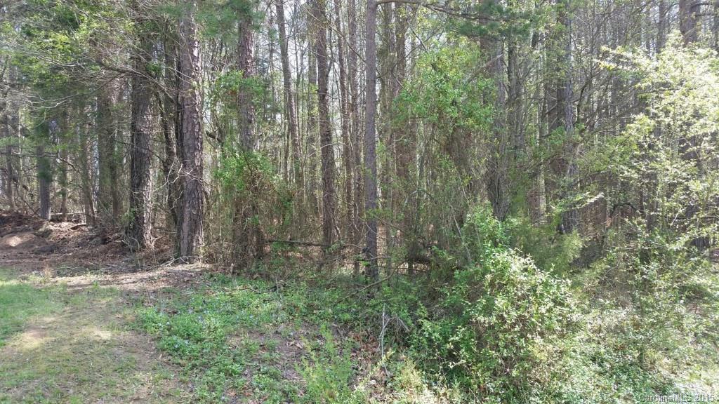 0 Beaver Road China Grove, NC 28023 - Photo 3 of 6 Gallery Image 3