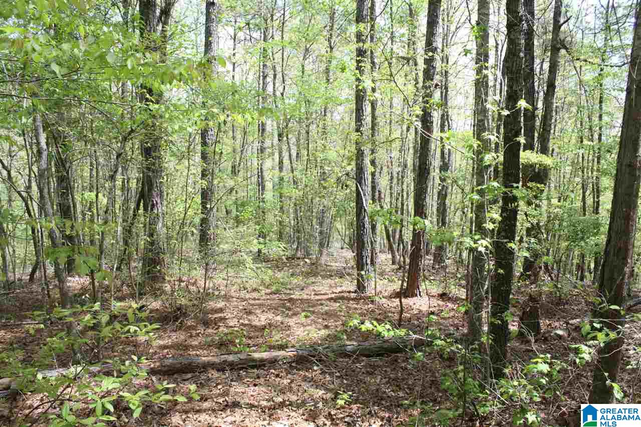 873 County Road, Unit 14 Wedowee, AL 36278 - Photo 5 of 9