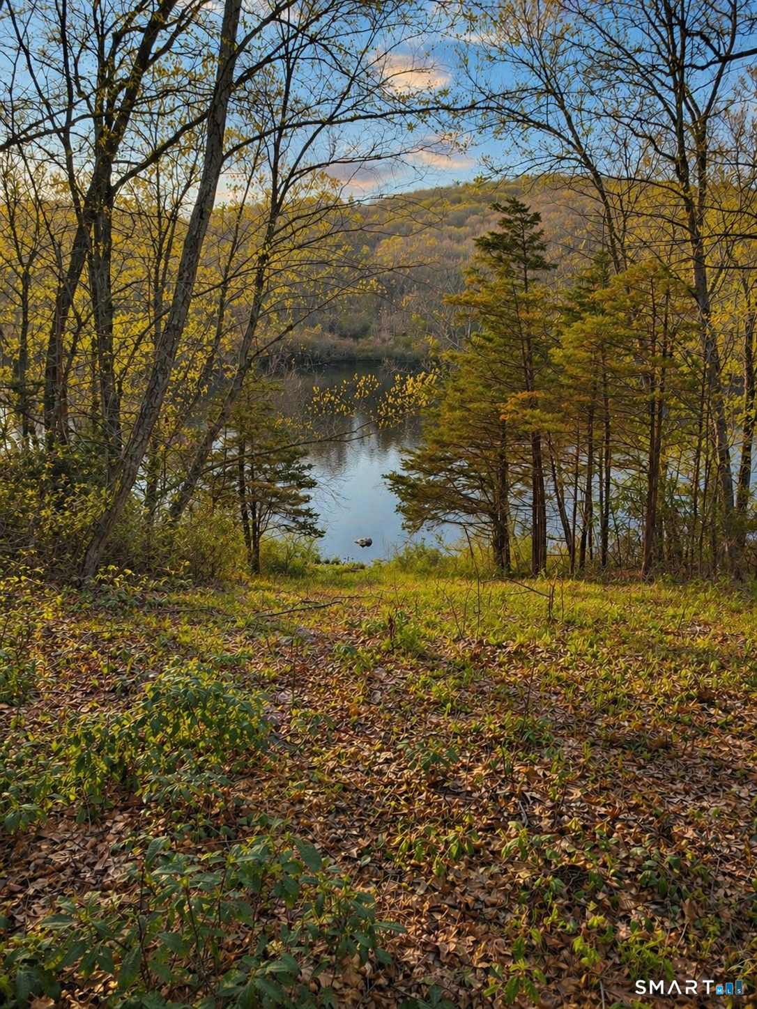 11 Wheeler Farm Road Preston, CT 06365 - Photo 40 of 40