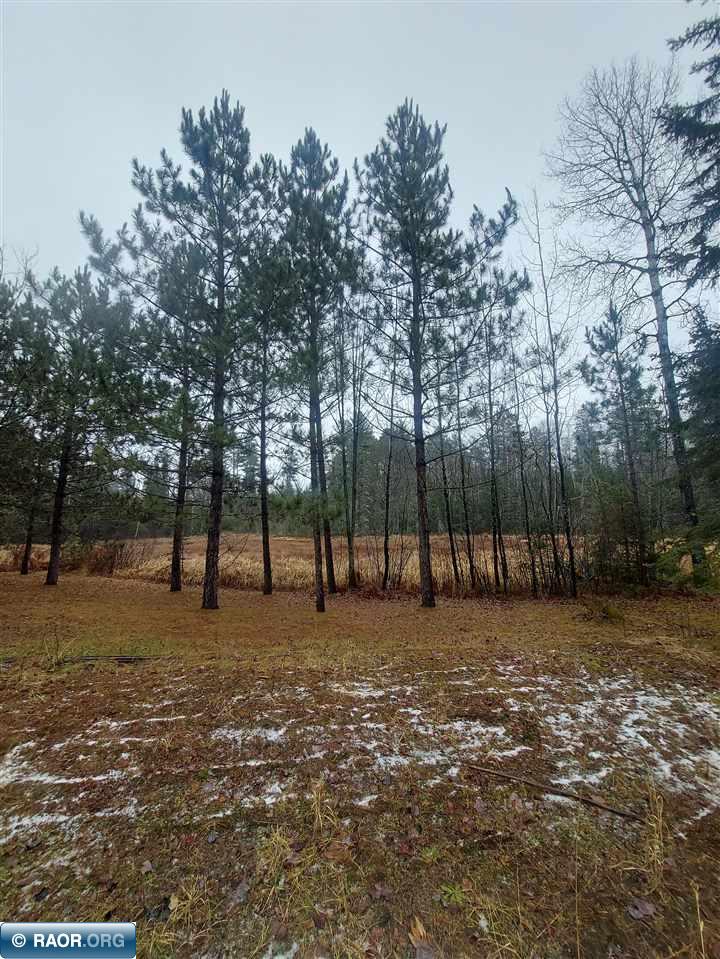 5137 Wahlsten Road Embarrass, MN 55732 - Photo 10 of 34