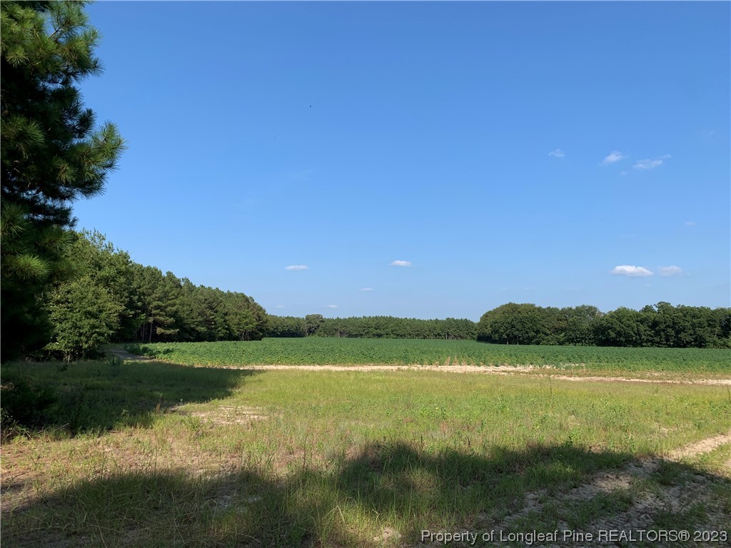 Fulford Mcmillan Road Raeford, NC 28376 - Photo 3 of 8 Gallery Image 3
