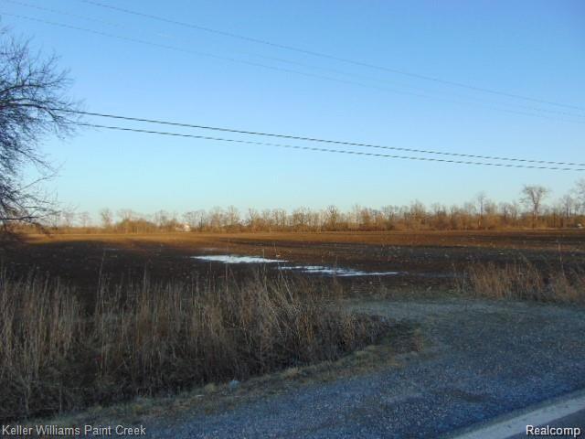 73636 McKay Road Romeo, MI 48065 - Photo 12 of 22