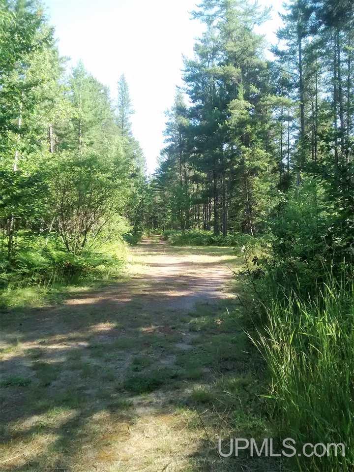 23624 East Co Road Grand Marais, MI 49839 - Photo 18 of 19