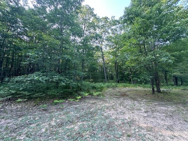 Parcel G South Brown Road Cadillac, MI 49601 - Photo 10 of 15