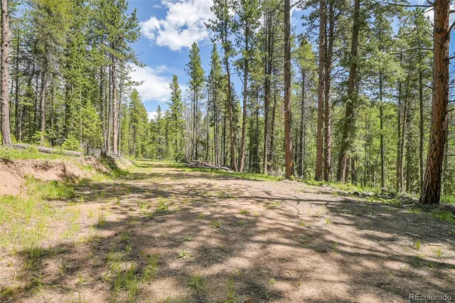 a view of outdoor space with deck and trees