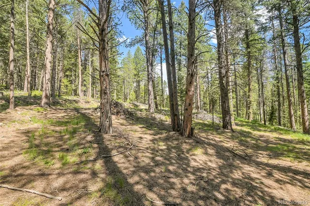 a view of outdoor space with trees