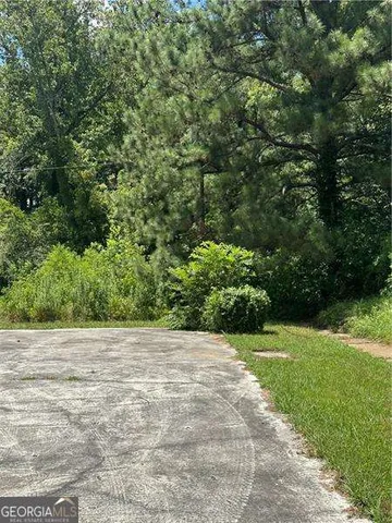 a view of a big yard with plants and large trees