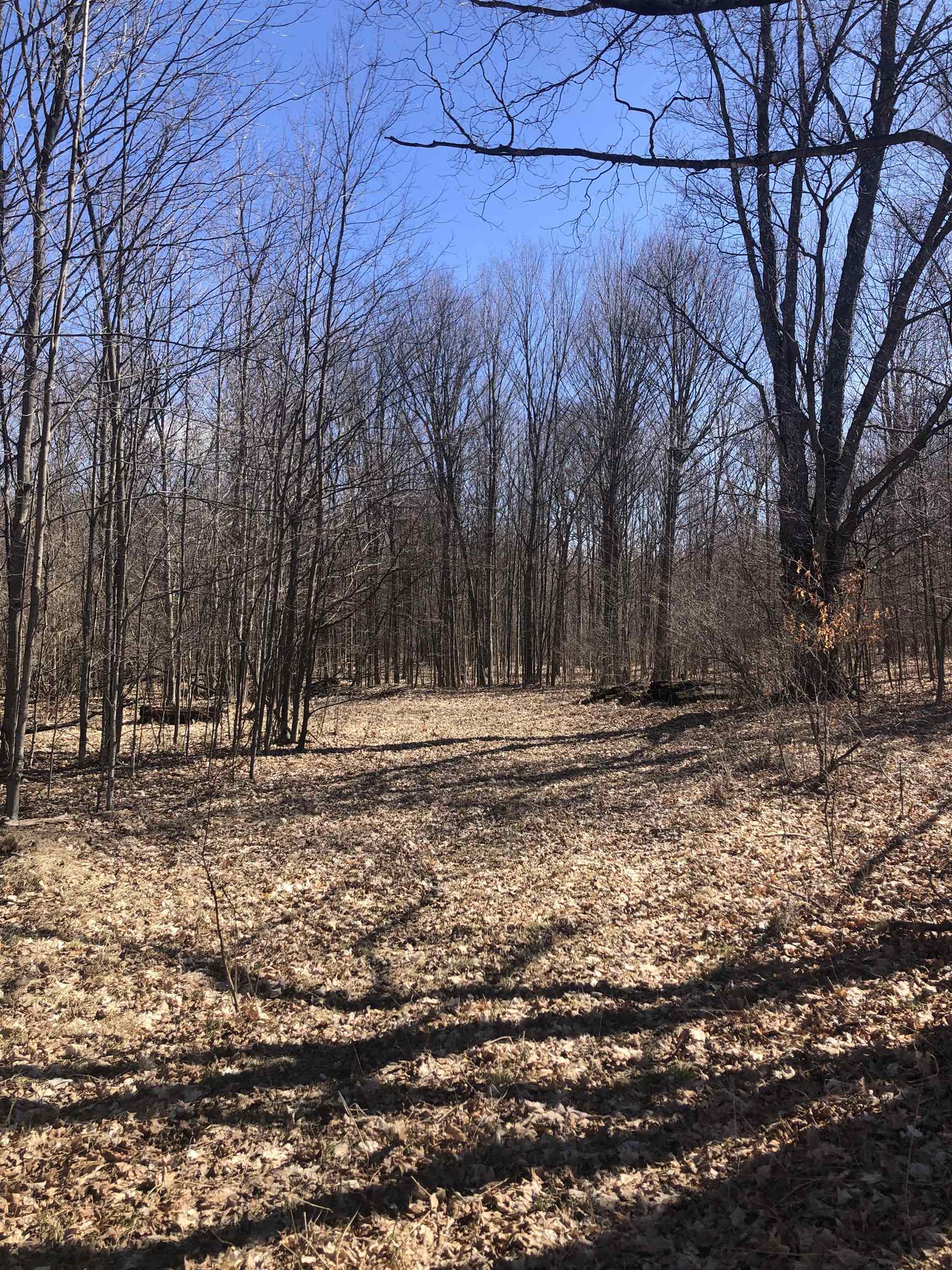 9 South 9 Mile Road Copemish, MI 49625 - Photo 8 of 35