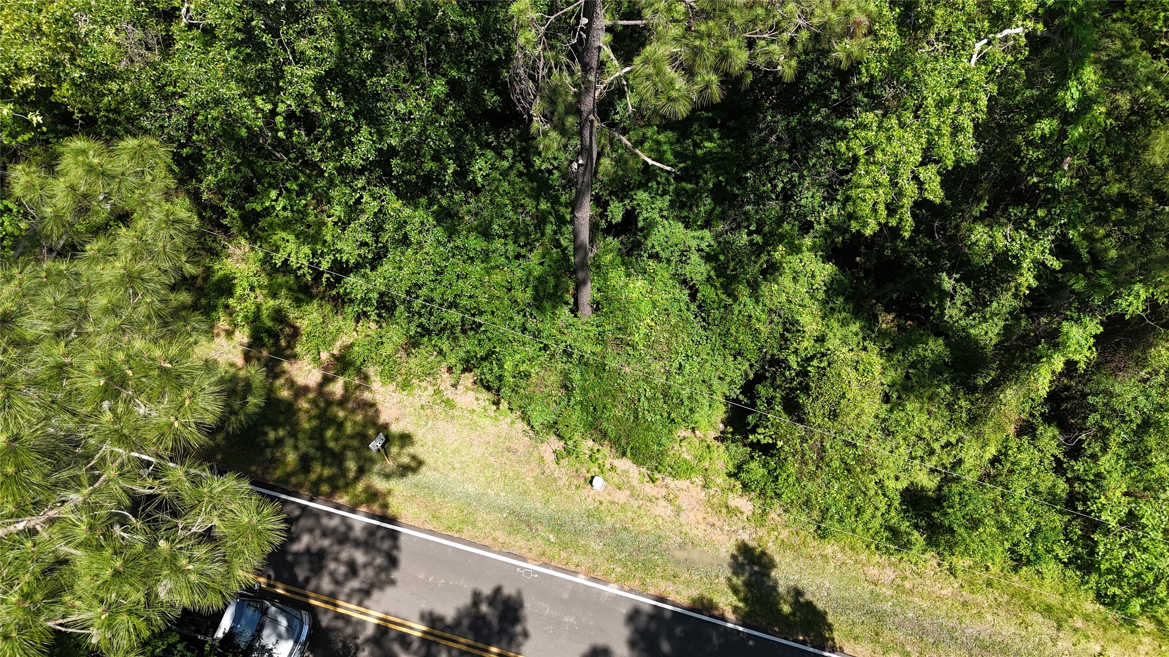 200 Hargraves Road Huffman, TX 77336 - Photo 2 of 6 a view of a green yard from a balcony