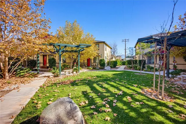 a view of a park with plants and large trees