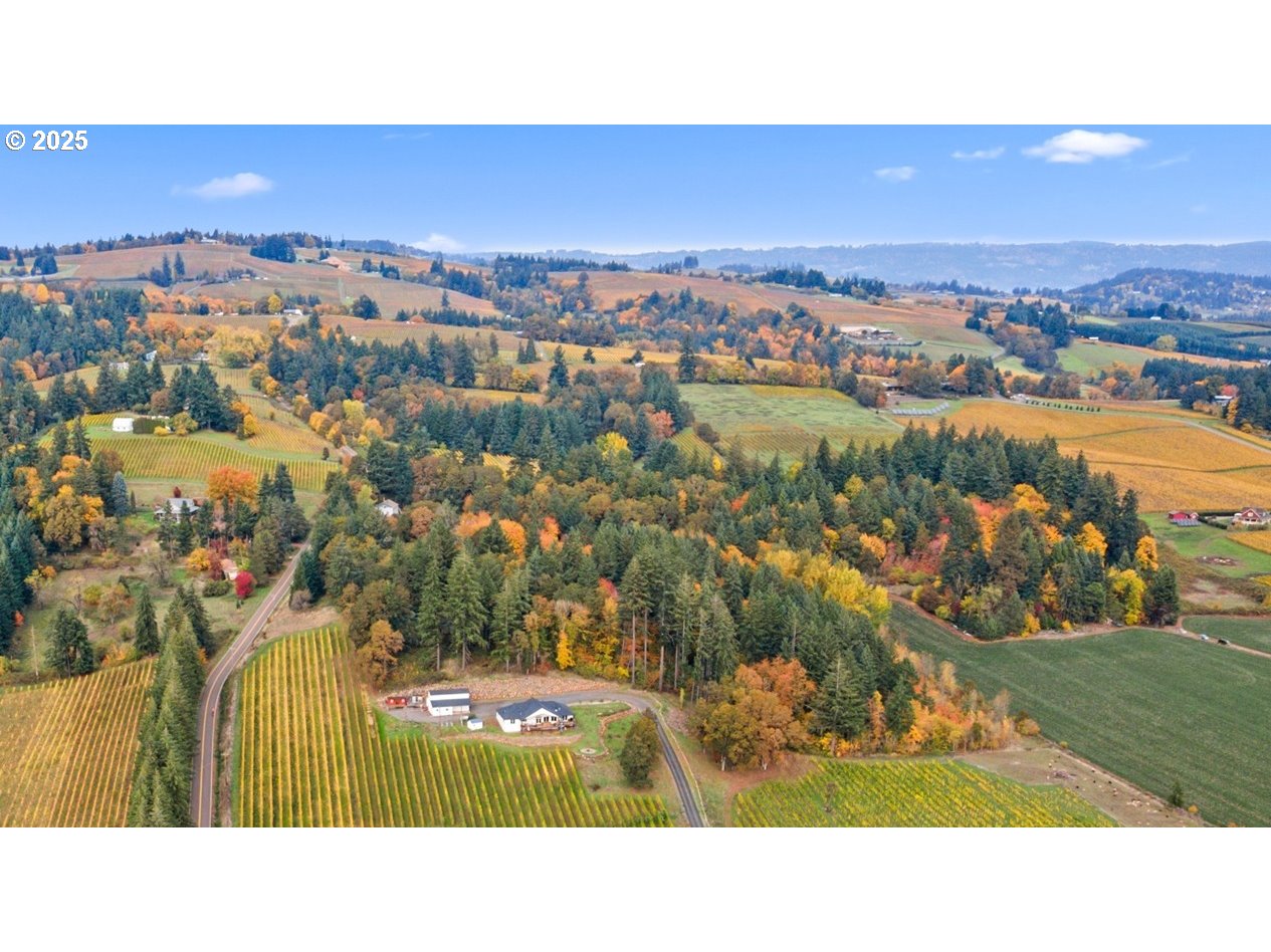 4210 Northeast Breyman Orchards Road Dayton, OR 97114 - Photo 37 of 48 View
