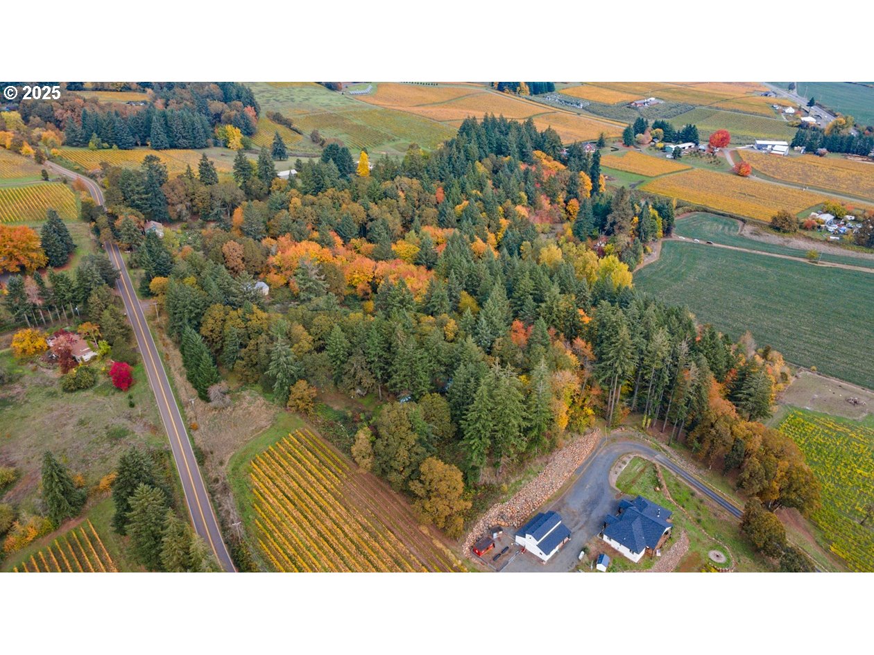 4210 Northeast Breyman Orchards Road Dayton, OR 97114 - Photo 40 of 48 View