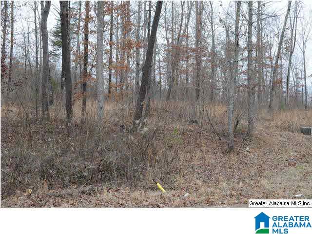 1196 17th Street, Unit 46 Pleasant Grove, AL 35127 - Photo 3 of 3