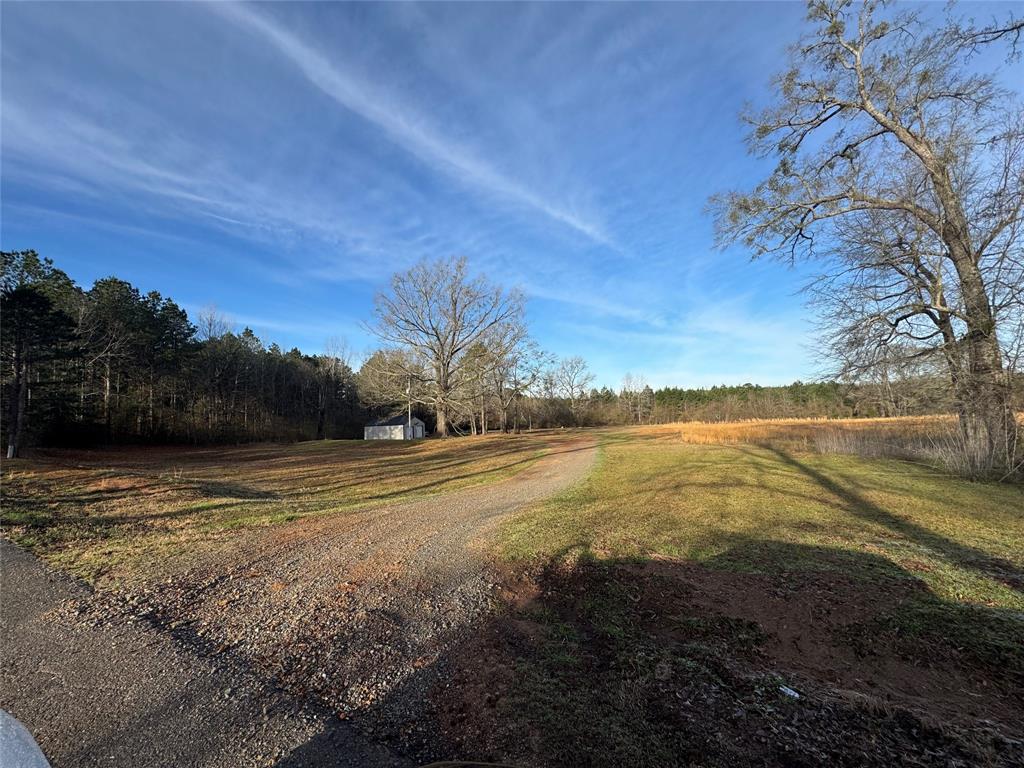 1111 Pleasant Hill Cemetery Road Plain Dealing, LA 71064 - Photo 1 of 1 View of road
