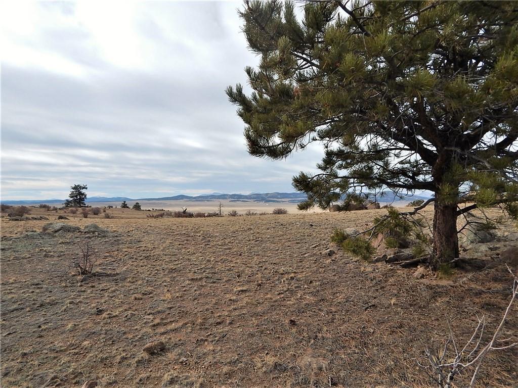 4357 Atila Road Hartsel, CO 80449 - Photo 12 of 35 Gallery Image 12