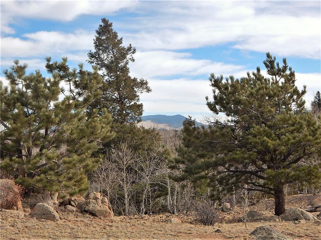4357 Atila Road Hartsel, CO 80449 - Photo 14 of 35 Gallery Image 14