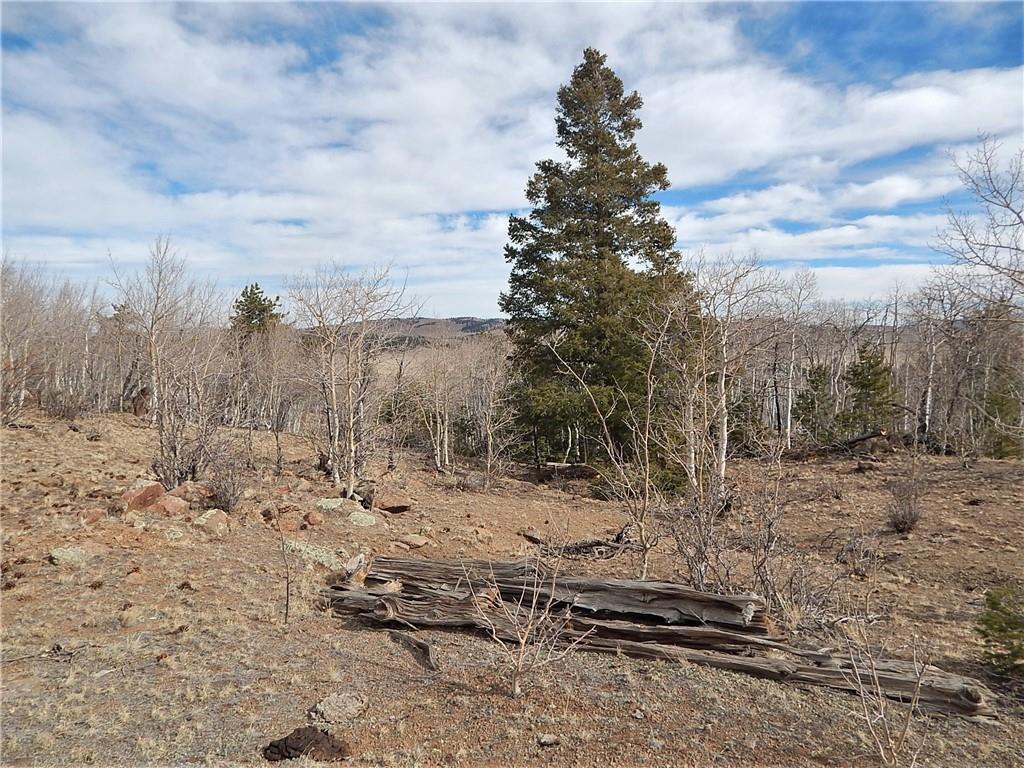 4357 Atila Road Hartsel, CO 80449 - Photo 18 of 35 Gallery Image 18