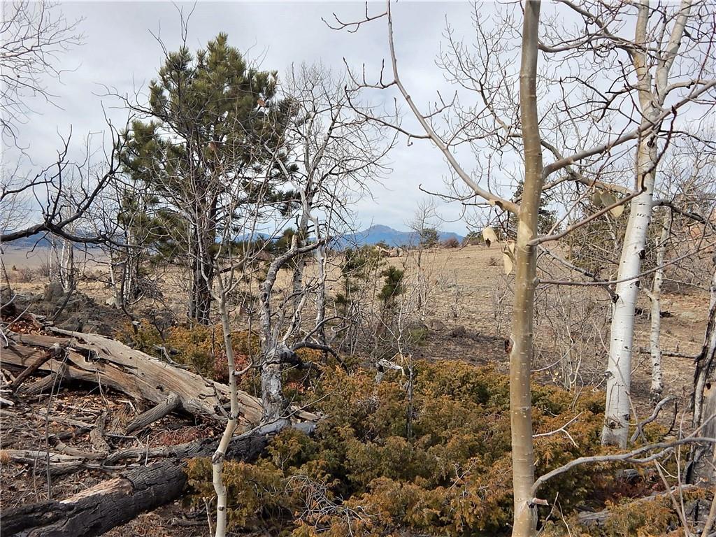 4357 Atila Road Hartsel, CO 80449 - Photo 19 of 35 Gallery Image 19
